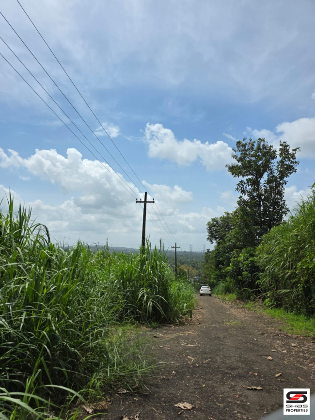 Land for sale near Thanikkudam, Thrissur