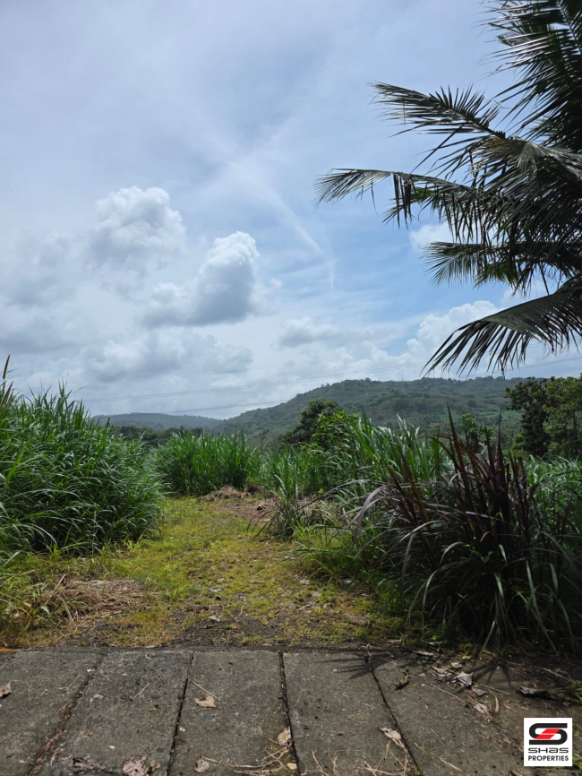 Land for sale near Thanikkudam, Thrissur