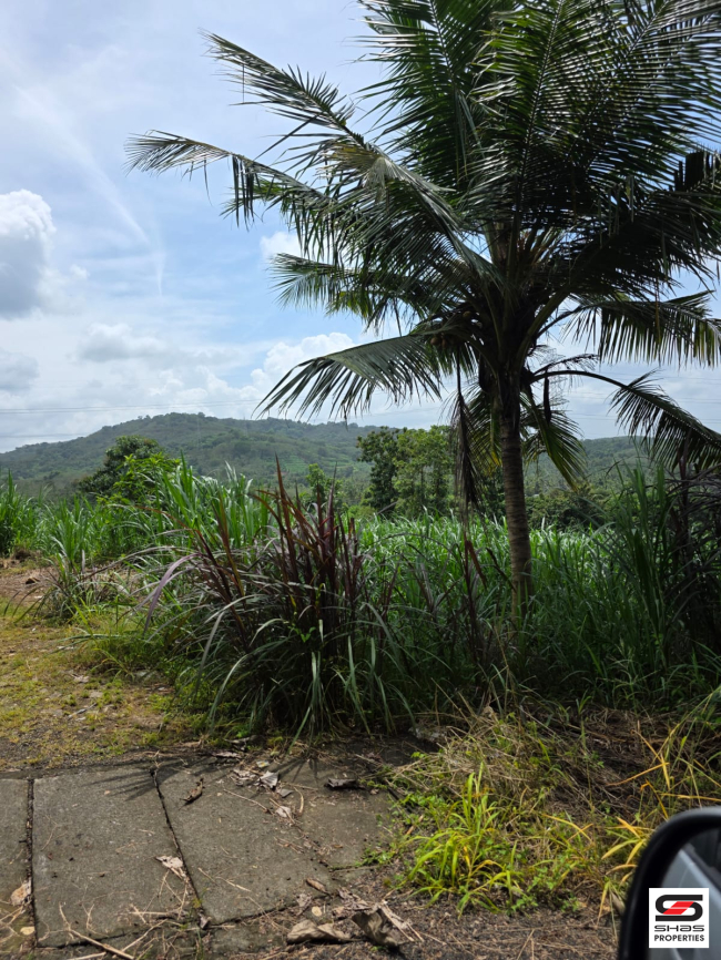 Land for sale near Thanikkudam, Thrissur