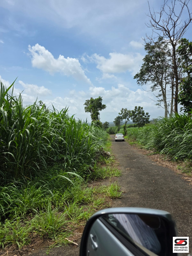 Land for sale near Thanikkudam, Thrissur
