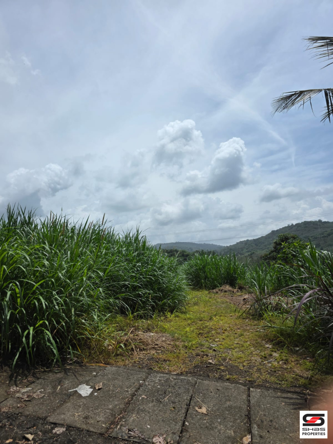 Land for sale near Thanikkudam, Thrissur