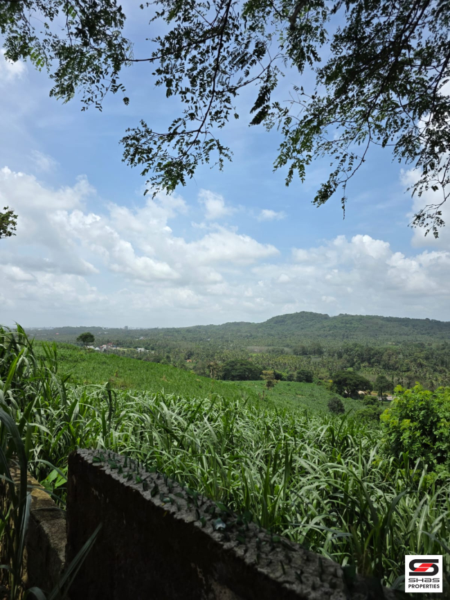 Land for sale near Thanikkudam, Thrissur