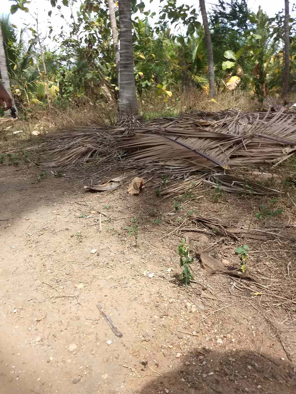 5 acre farmland for sale in Udumalpet, Tamilnadu