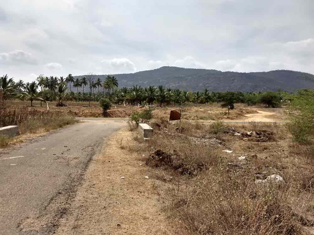 10 acre farmland sale in Udumalpet, Tamilnadu