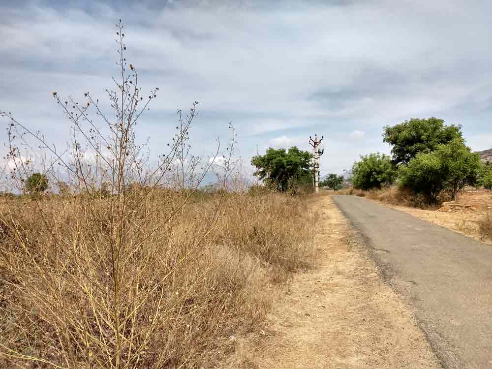 10 acre farmland sale in Udumalpet, Tamilnadu