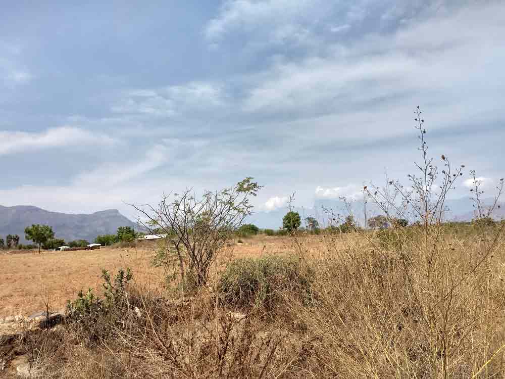 10 acre farmland sale in Udumalpet, Tamilnadu