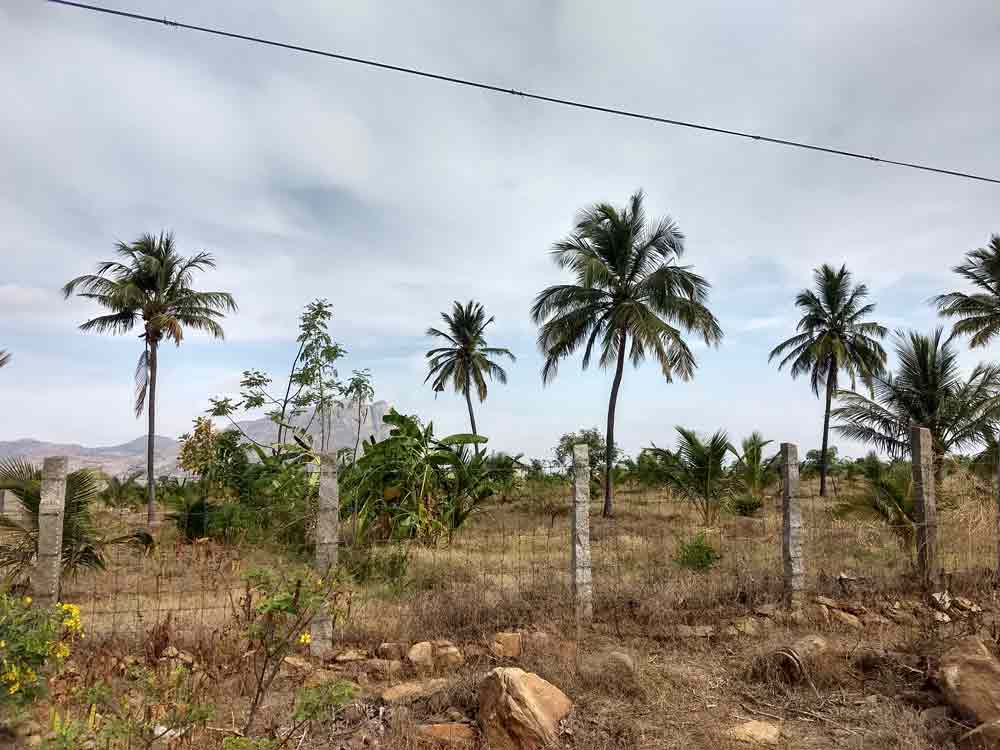 10 Acre farmland for sale in Udumalpet, Tamilnadu