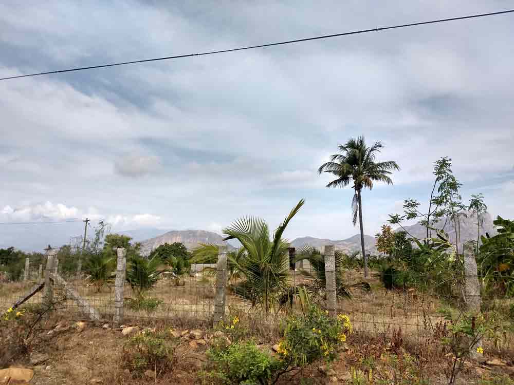 10 Acre farmland for sale in Udumalpet, Tamilnadu