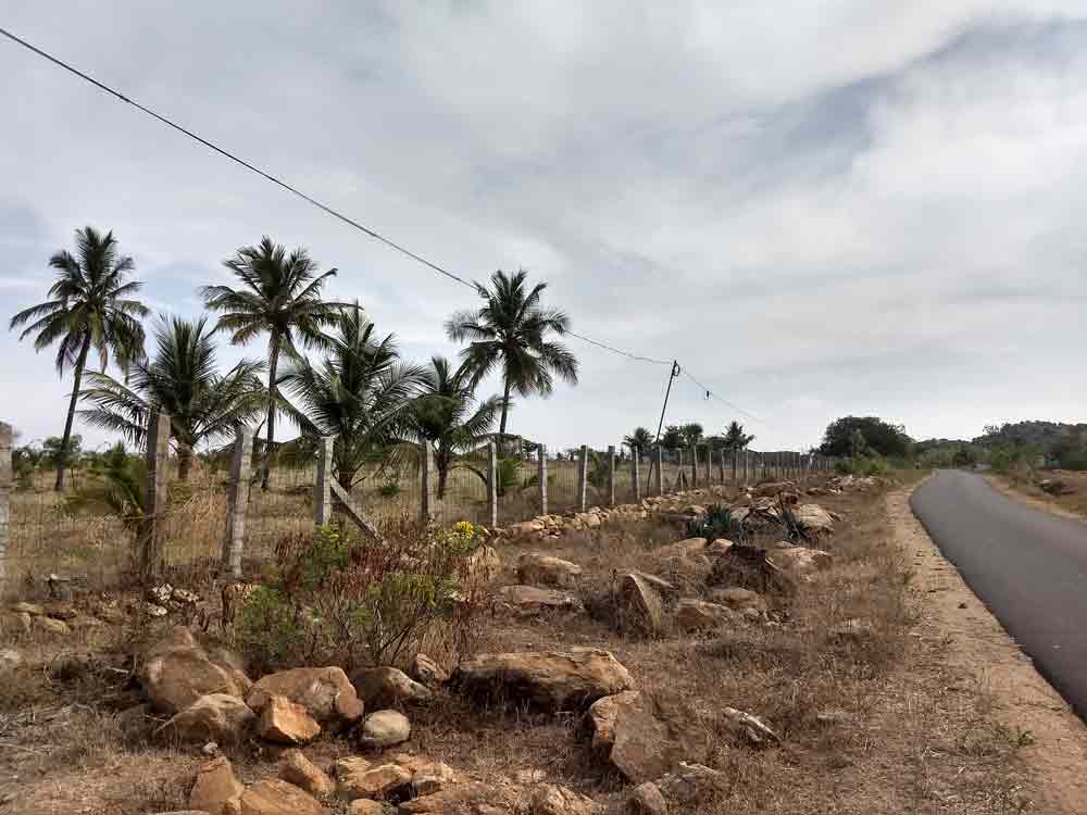 10 Acre farmland for sale in Udumalpet, Tamilnadu