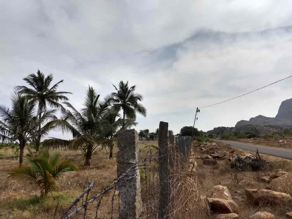 10 Acre farmland for sale in Udumalpet, Tamilnadu