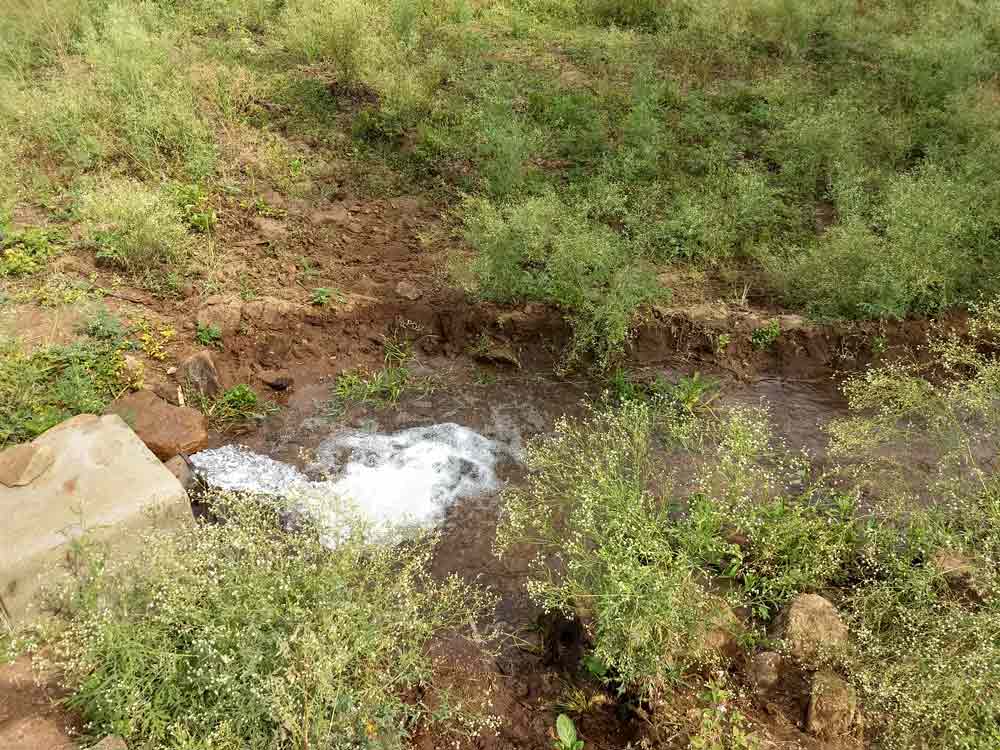 12 Acre farmland for sale in Udumalpet, Tamilnadu