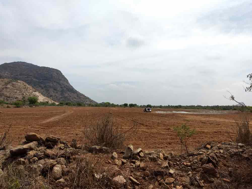 20 Acre farmland for sale in Udumalpet, Tamilnadu