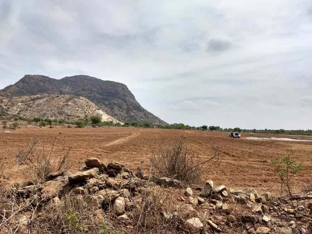 20 Acre farmland for sale in Udumalpet, Tamilnadu