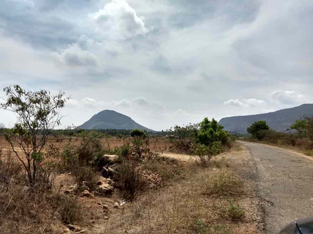 20 Acre farmland for sale in Udumalpet, Tamilnadu