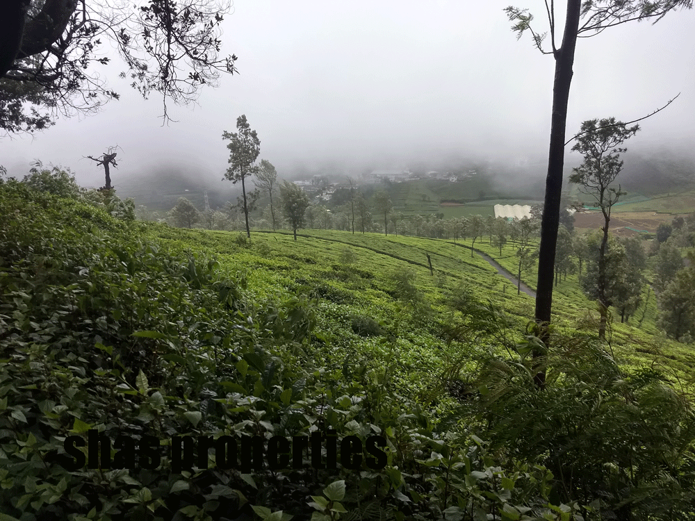 1 Acre land for sale in Kotagiri,Ooty