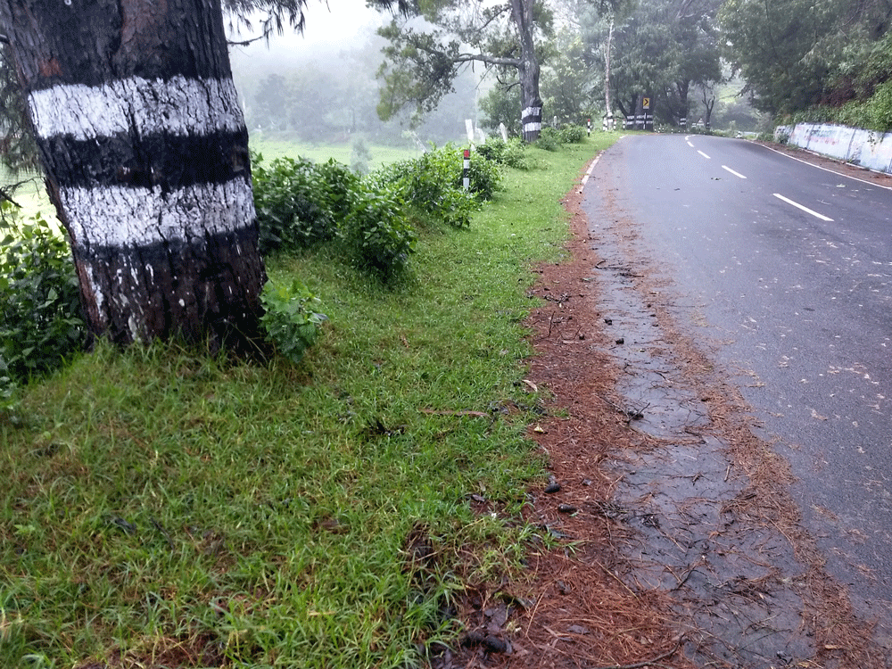 1 Acre land for sale in Kotagiri,Ooty