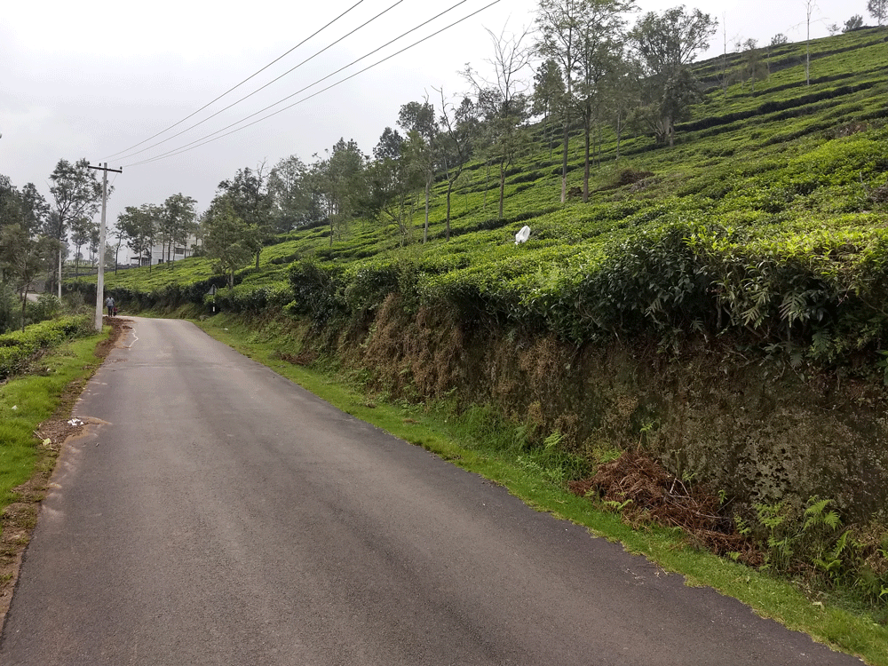 40 cent house plot for sale in Kotagiri,Ooty