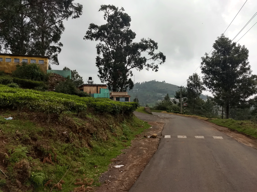 40 cent house plot for sale in Kotagiri,Ooty