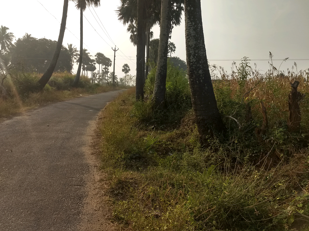 Agricultural land of 4.5 acres is available at Kozhinjampara, Palakkad