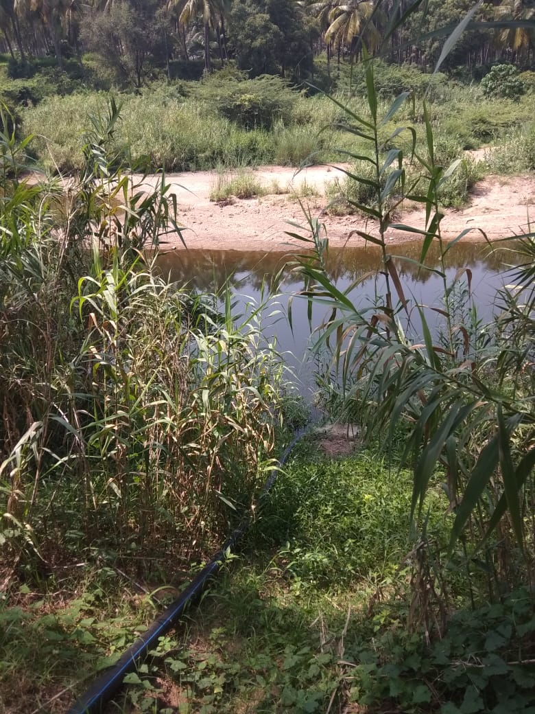 15 Acre coconut farmland for sale in Pollachi,
