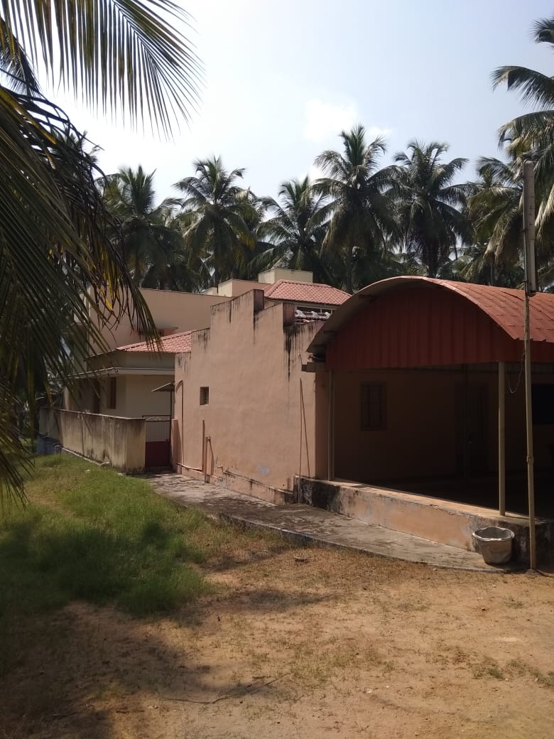 15 Acre coconut farmland for sale in Pollachi,