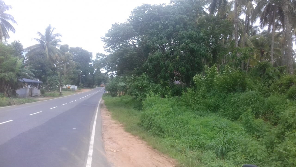 1.25 acre house plot property for sale Kongad, Palakkad