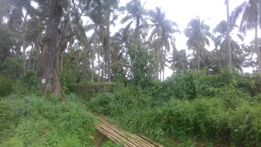 1.25 acre house plot property for sale Kongad, Palakkad