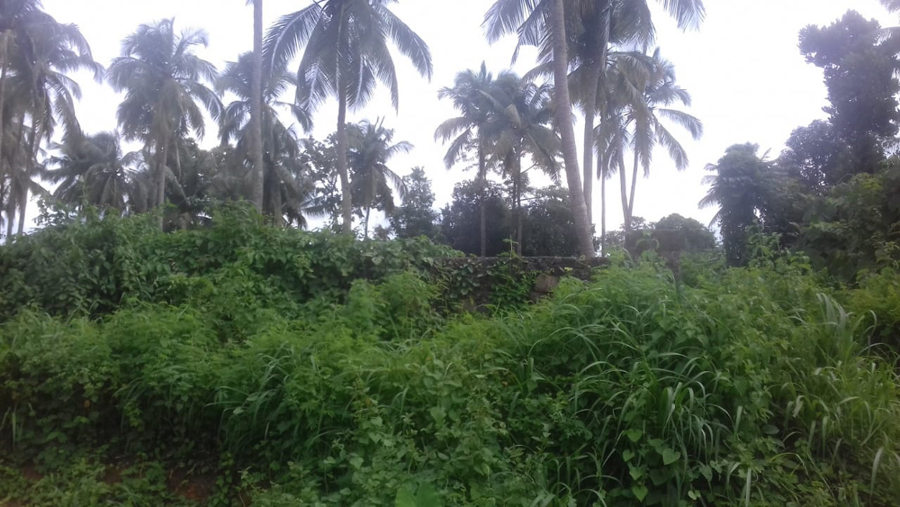 1.25 acre house plot property for sale Kongad, Palakkad