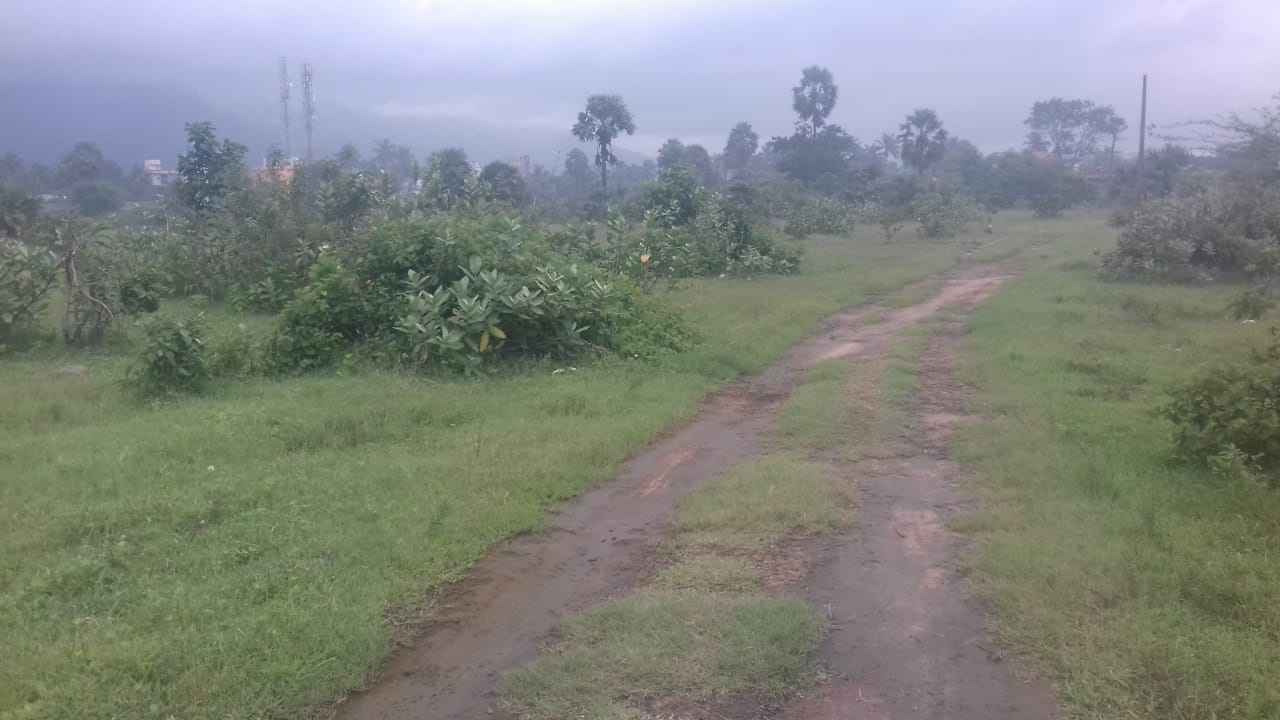 70 cent industrial land for sale Palakkad, Kanjikode