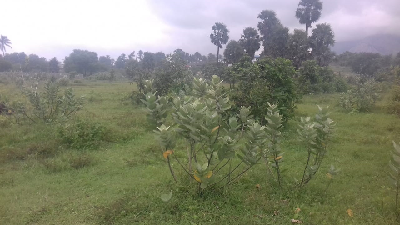 70 cent industrial land for sale Palakkad, Kanjikode