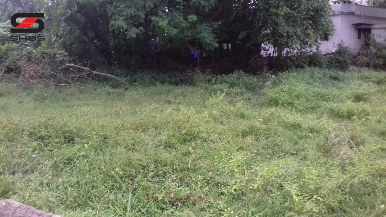 11 cent Residential plot for sale Palakkad, Kerala