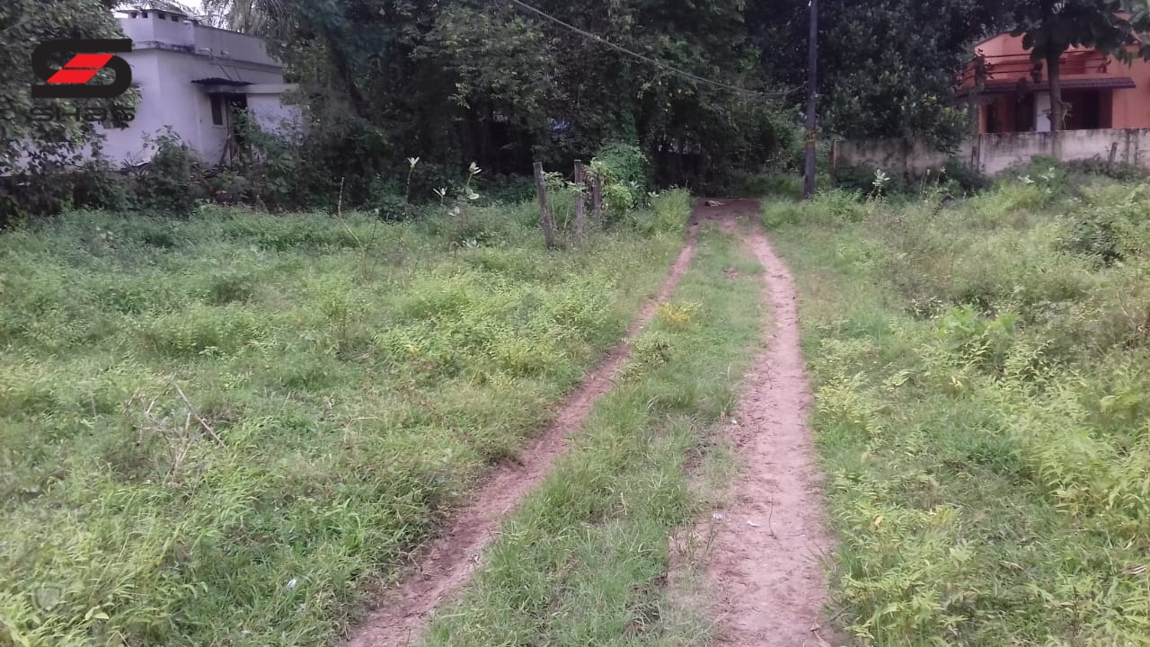 11 cent Residential plot for sale Palakkad, Kerala
