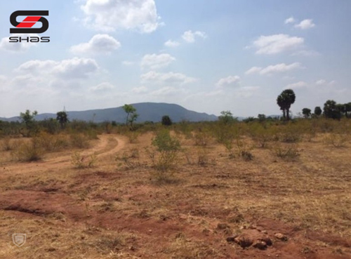 130 Acre Agricultural land for sale Dindigul, Tamil Nadu