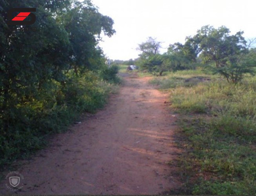 130 Acre Agricultural land for sale Dindigul, Tamil Nadu
