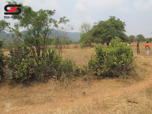 130 Acre Agricultural land for sale Dindigul, Tamil Nadu