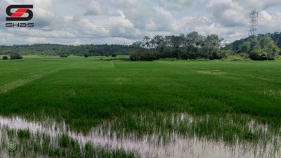 3 BHK house for sale Wayanad, Kerala