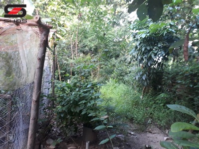 Traditional house for sale Palakkad, Kerala