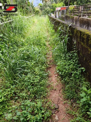 4 acre residential land for sale Palakkad, Kerala
