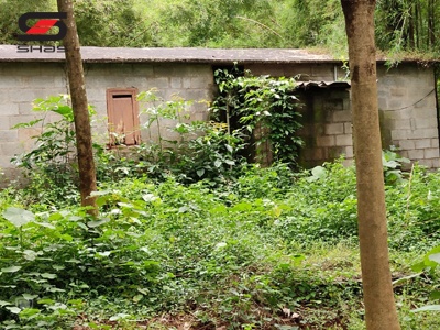 4 acre residential land for sale Palakkad, Kerala