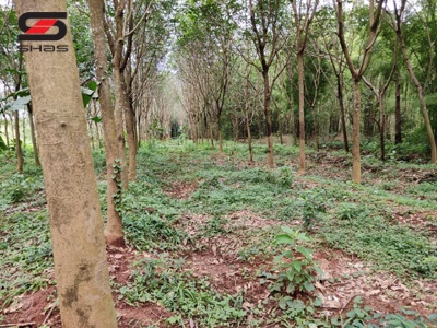 4 acre residential land for sale Palakkad, Kerala