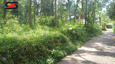 1 acre residential plot for sale Wayanad, Kenichira