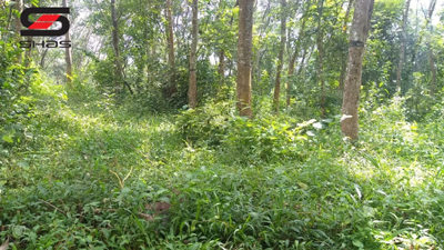 1 acre residential plot for sale Wayanad, Kenichira