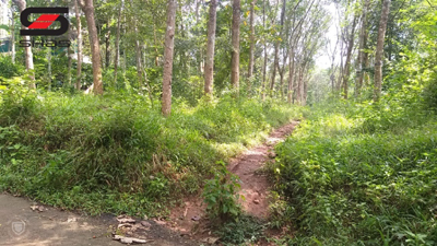 1 acre residential plot for sale Wayanad, Kenichira