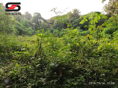 16 cent House plot, Parambu for sale in Palakkad, Kerala