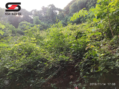 16 cent House plot, Parambu for sale in Palakkad, Kerala