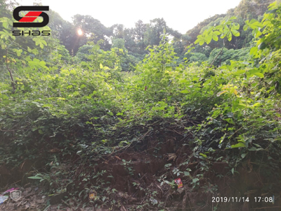 16 cent House plot, Parambu for sale in Palakkad, Kerala