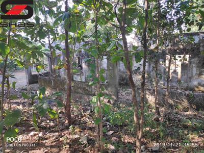 7 cent house plot, parambu for sale in Palakkad, Kerala