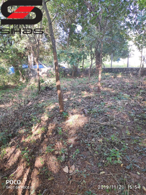 7 cent house plot, parambu for sale in Palakkad, Kerala