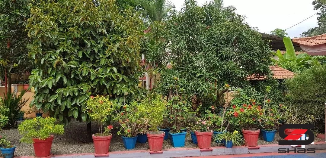 4 BHK house for sale in Pathanamthitta, Kerala