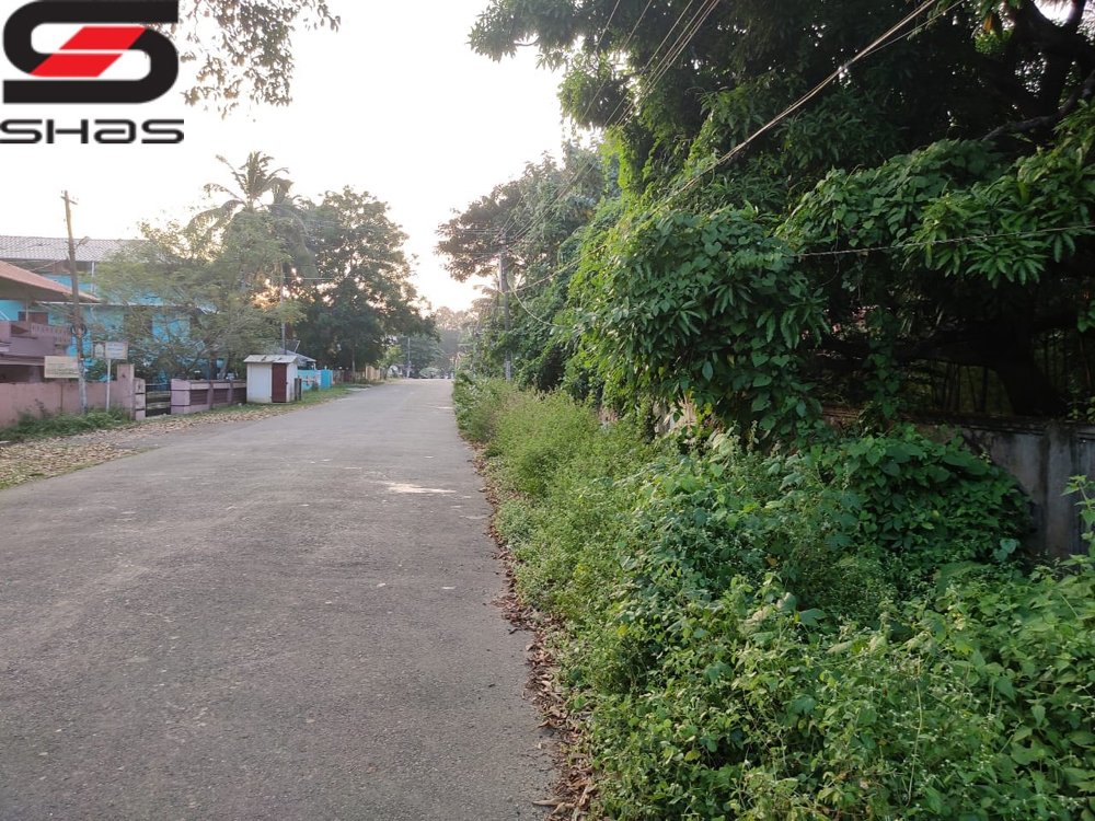Plot classified as Parambu for sale in Palakkad, Kerala
